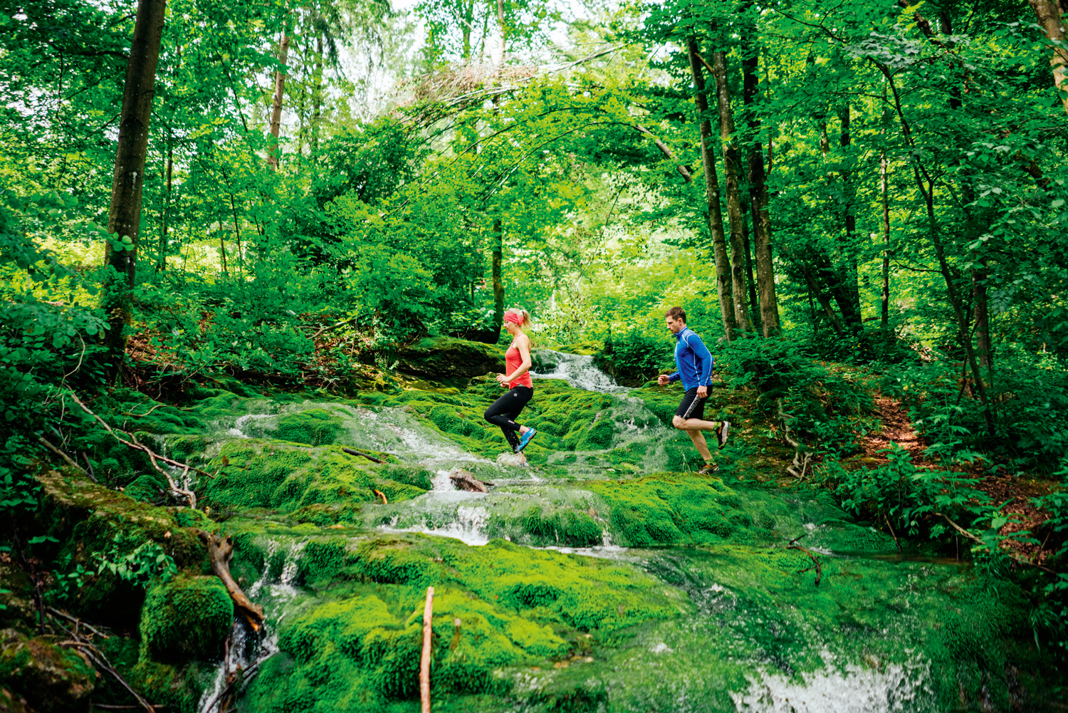 Laufbar – wunderbar: 4 Profis verraten, was schöne Lauftrails ausmacht und geben Einsteiger-Tipps