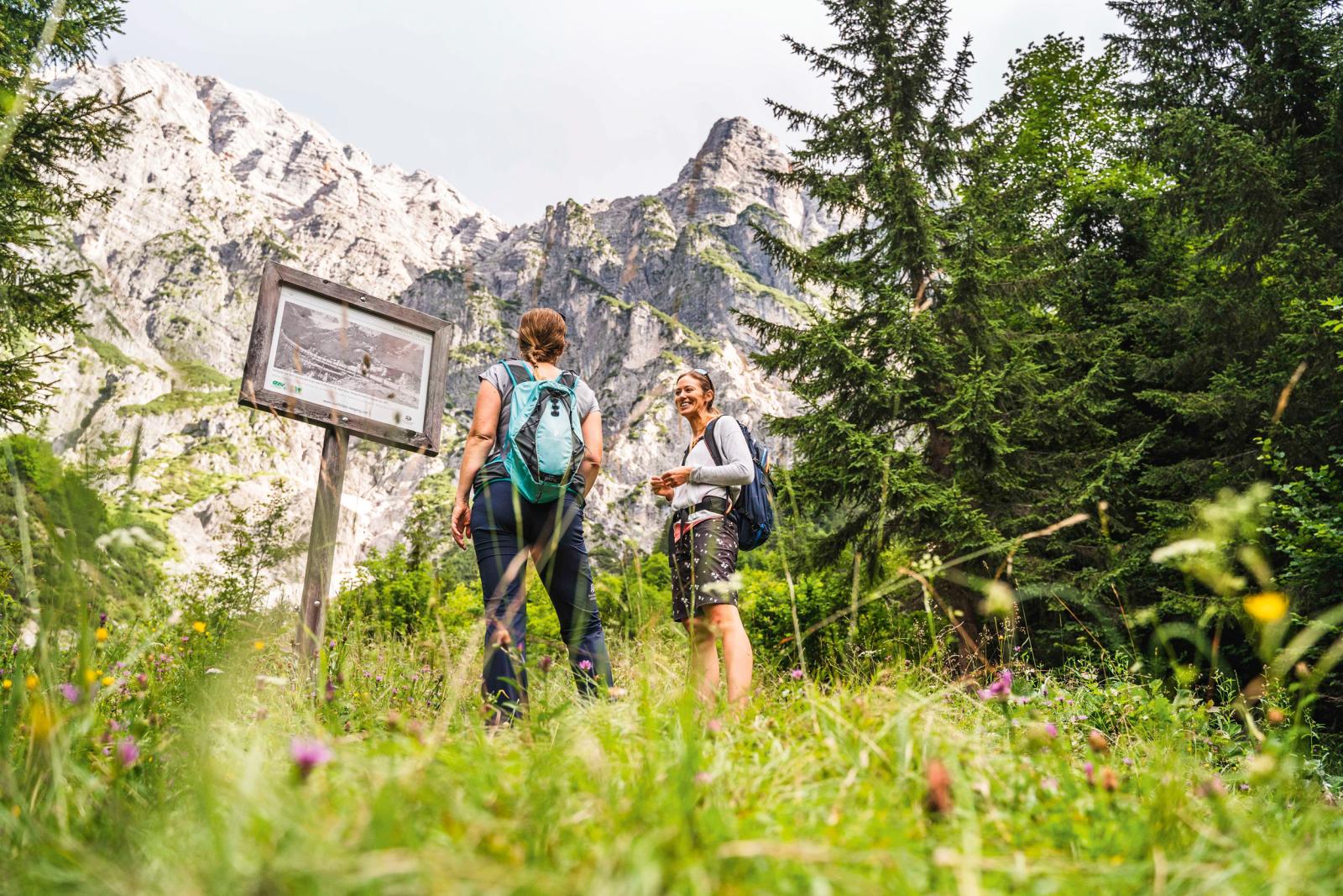 Top 20 Nachhaltige Initiativen 2024