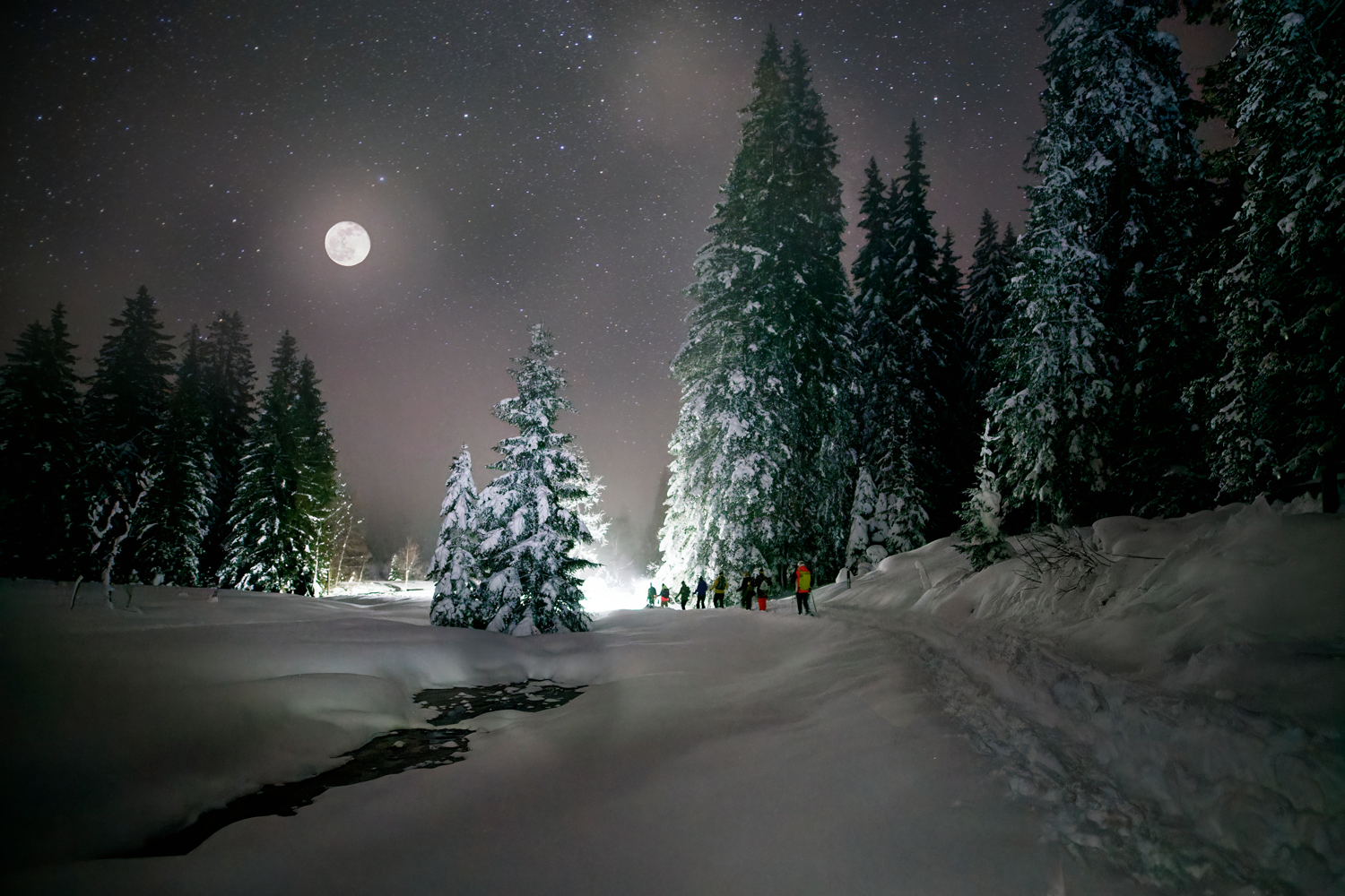 Top 20 Winteralternativen 2024