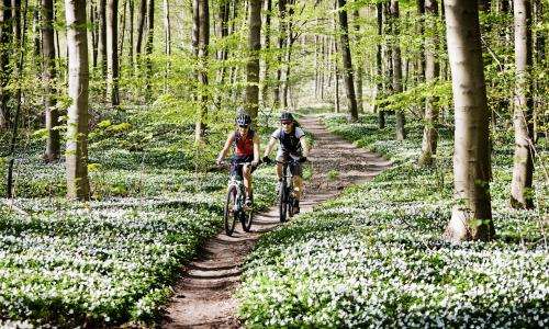4 gute Gründe, warum du jeden Tag radfahren solltest © iStock / Soren Svendsen 4 gute Gründe, warum du jeden Tag radfahren solltest