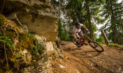 So findest du das Mountainbike, das wirklich zu dir passt © iStock / cdbrphotography So findest du das Mountainbike, das wirklich zu dir passt