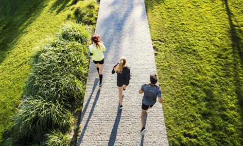 So läuft es gut: Sommer-Fahrplan für 3 unterschiedliche Lauftypen © iStock / Halfpoint So läuft es gut: Sommer-Fahrplan für 3 unterschiedliche Lauftypen
