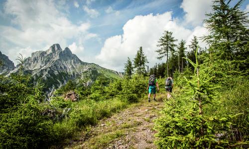 Wandern in der Wildnis: Luchstrail © Fotograf / Stefan Leitner Wandern in der Wildnis: Luchstrail