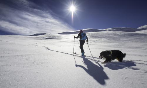 Skitourenverrückt © iStock / michelangeloop Skitourenverrückt