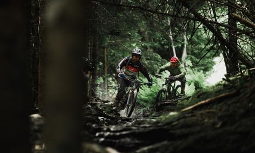 Mountainbiken © iStock / Joakim Vatnaland Mountainbiken