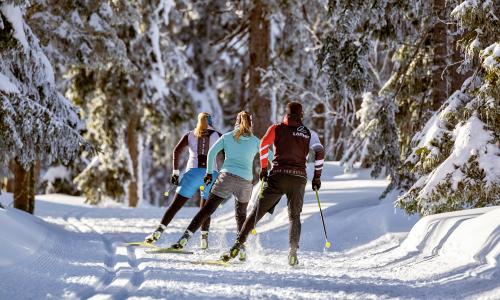 © Fotograf / Fischer Sports GmbH Alleskönner Langlaufen: Was der Sport fürs Laufen und Biken bringt