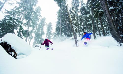 © Fotograf / Getty Images / stockstudioX Natur pur: Es gibt sie noch - Skigebiete, die auf Naturschnee setzen