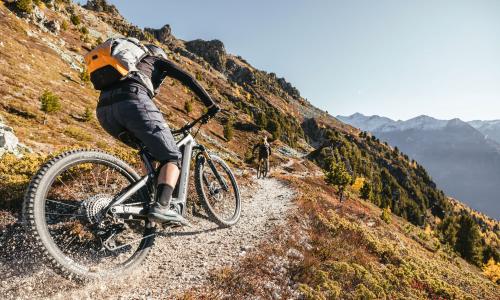 © Hersteller / Flyer Scotty, Energie: die besten E-MTBs für Einsteiger