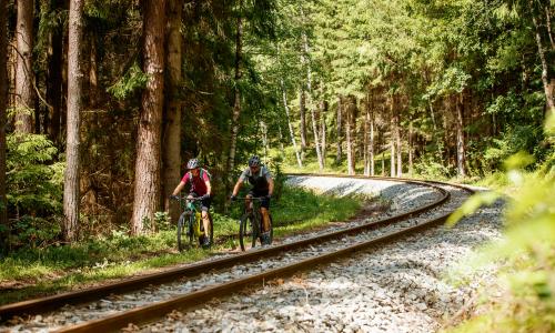 © Fotograf / Waldviertel Tourismus, Erwin Haiden / Am Granittrail durchs idyllische Waldviertel. Top 20 MTB-Mehrtagestouren 2022