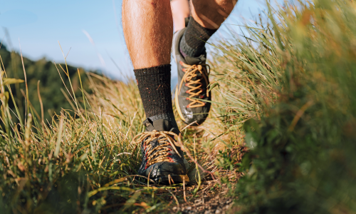 © Hersteller / Salomon Lowcut-Wanderschuhe: Für den flotten Schritt