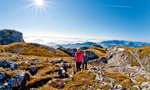 Frühlingsboten genießen: Was es über Wandertouren in der frühen Saisonphase zu wissen gilt