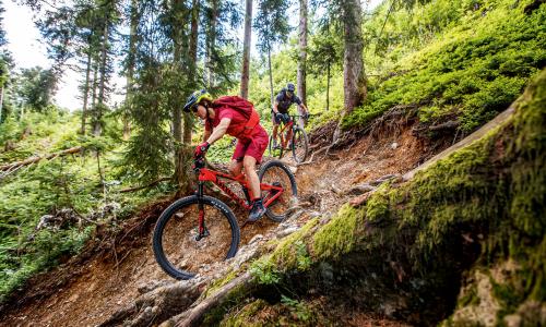 © Fotograf / TVB Kitzbüheler Alpen / Erwin Haiden / Neues entdecken. Wer seine Tagestouren schlau plant, der kommt garantiert in den Genuss neuer Trails. Tagesfüllend: So planst du deine nächste MTB-Tagestour