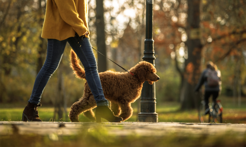 © Getty Images / fotostorm Warum das Spazierengehen viel mehr als nur ein Trend sein sollte