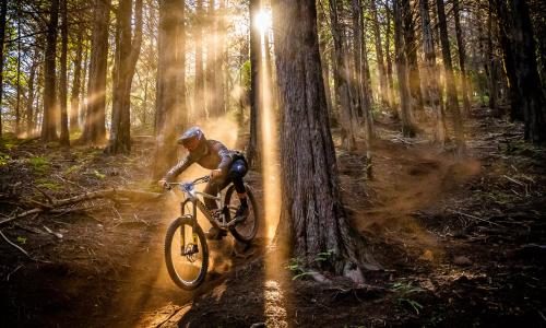 © Fotograf / Specialized / Sebastian Schieck Schmetterling und Biene: Warum diese Stichwörter auch zu Enduros passen