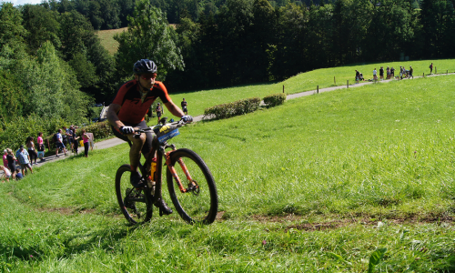 © Fotograf / Arnold Pauly ktm1.png