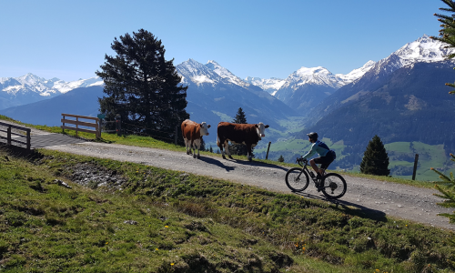 © Tourismusregion / Bike Austira / Mittersill l plus Tourismus Top 20 Herbst-Graveltouren 2024