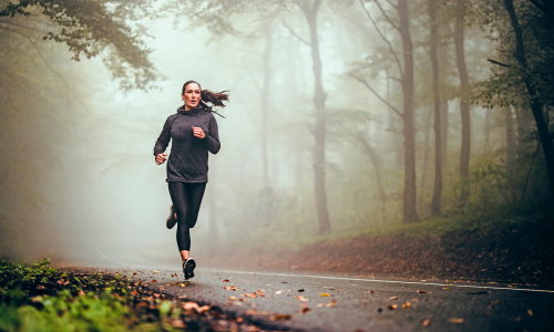 © iStock / E+ Kollektion/Getty Images/skynesher immunsystem1.png