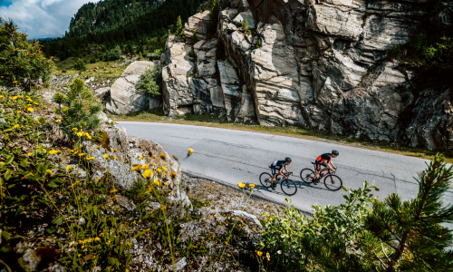 © Hersteller / KTM Bikes / Von Stelvio bis Neusiedler See. Aktuelle Race-Allrounder überzeugen in jedem der klassischen Rennradreviere. Die neue Mitte: Warum es sich besonders lohnt, mit einem Race-Allrounder zu liebäugeln