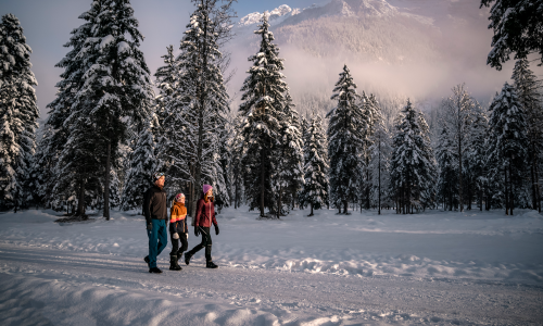 Auf leisen Pfaden: Die Stille des Winters in Wanderschuhen und auf Schneeschuhen entdecken