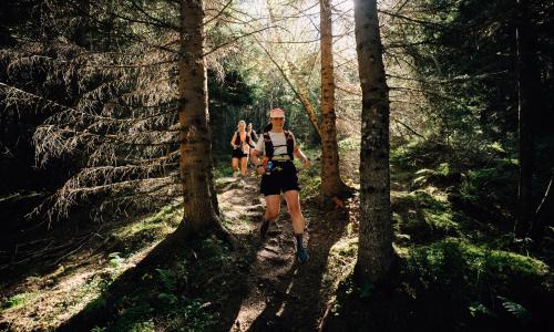 © Fotograf / Daniel Kilian / Läufer:innen auf dem TST 23K Tiroler Silberpfad Trophy 2026 – Wo du nicht nur läufst, sondern wächst