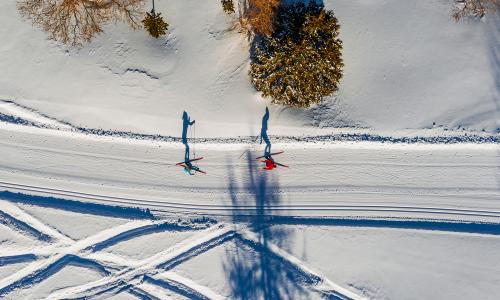 © Tourismusregion / TMG – Turracher Höhe Marketing GmbH / Höhergelegene Langlaufregionen wie die Turracher Höhe bieten in der Regel schon früher im Winter perfekte Trainingsbedingungen. Im Renntempo über die Loipe