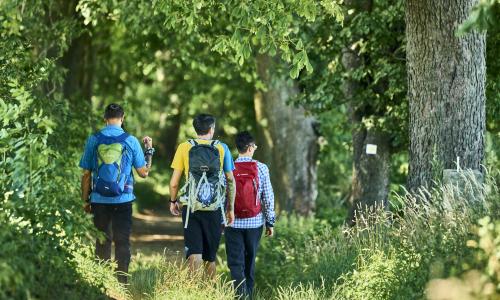 © © TVO / WoidlifePhotography Trekking Award 2026 geht an den Goldsteig