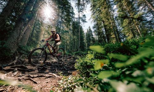 © © TVB-Tiroler Oberland Nauders / Rudi Whylida / Trailspass im Wald. „Fair Play“ heißt auch, immer nur explizit fürs Biken freigegebene Wege und Zeiten zu nutzen – damit der Spaß auch langfristig erhalten bleibt. Mountainbiken mit Fairplay