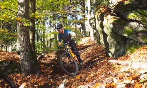 © © Oberösterreich Tourismus GmbH / Peter Zeitlhofer / Erlebnis pur: der „Salamader-Trail“– ein mittelschwerer Enduro-Trail mit gebauten Anliegerkurven und kleineren Sprüngen in Steyregg bei Linz. Top 20 (E)MTB Trails für Experten 2026