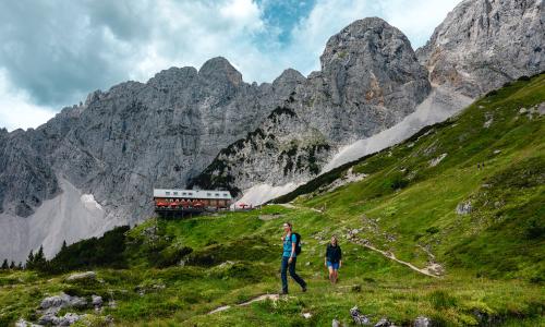 Neue Sternwanderung Kaiserblüte am Wilden Kaiser