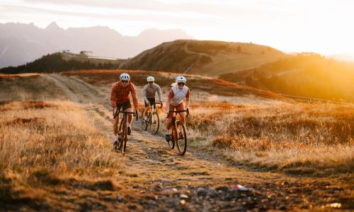 Goldener Tritt Herbstzeit ist auch die Zeit der Genusstouren mit MTB und Gravelbike