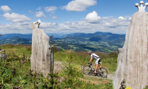 Alle Strecken der Bike-Region Graz auf einer Gratiskarte / Bild: Graz Tourismus © Alle Strecken der Bike-Region Graz auf einer Gratiskarte / Bild: Graz Tourismus Alle Strecken der Bike-Region Graz auf einer Gratiskarte / Bild: Graz Tourismus