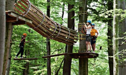 Kletterpark: Ein Seil für Körper, Geist und Seele / Bild: Thomas Polzer Thumbnail