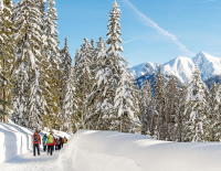 © Fotograf / Region Seefeld / Johannes Geyer / WINTERTRAUM. Wege zum Winterwandern werden vielerorts angeboten. Seefeld in Tirol (im Bild) hat einen „Winterweitwanderweg.“ winteralternativeaufm.png