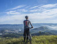 © © pexels / pixabay KTM News