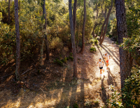 © © Scott/Daniel Geiger / Natur-orientiert. Einfach abbiegen, wohin man will, Schuhe, die auf befestigtem wie auf losem Untergrund passen: Der Gravel-Gedanke fasst auch im Laufen Fuß. lauftrends.png
