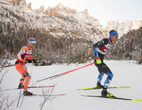 © ©Newspower.it themore3.png