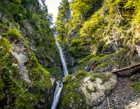 © Fotograf / Kitzbüheler Alpen / Sportalpen / P. Langwallner / Tagelang tief in die Natur eintauchen – hier am Tiroler „Koasa Trail.“ Top 20 Weitwanderwege 2025