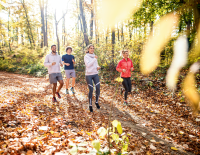 Die Polypille Bewegung: Die Top-10-Fitnesstipps von „SPORTaktiv Doc“ Dr. Robert Fritz