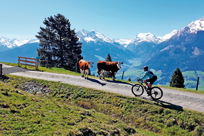 Herbst-Zeit = ­Gravel-Zeit: Wertvolle Tipps für einen stimmungsvollen Ausklang der Gravelsaison