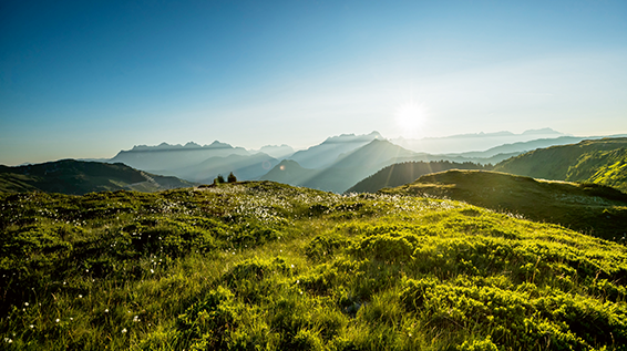 Travel-Tipps für den Sommer: 8 Lieblingsplätze in Österreich