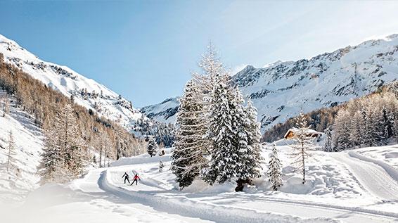 Den besten Loipen auf der Spur: Sechs Langlauf-Destinationen unter der Lupe