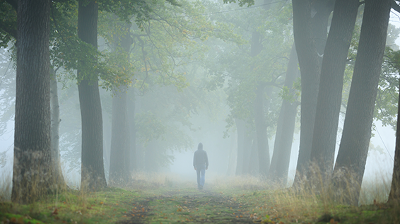 6 Gründe, warum Wandern bei Regen Spaß macht