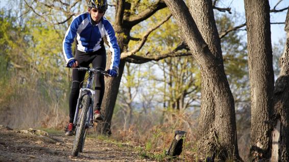 Aller Anfang ist ... leicht: MTB-Ausrüstung / Bild: iStock