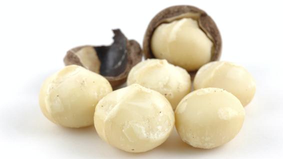 Knabbere dich fit: Macadamia / Bild: iStock / bedo