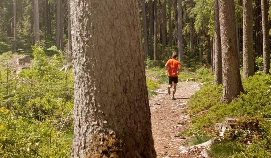 Die 27 besten Trainingstipps für Laufeinsteiger und Fortgeschrittene / Bild: Saalfelden-Leogang