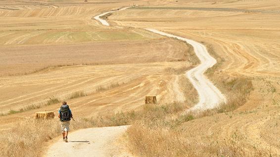 5 verschiedenen Wanderarten und ihre Eigenschaften / Bild: iStock / DmiBoS