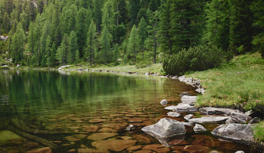 Der Reedsee in Gastein - ein Geheimtipp für Sommerfrische pur in den Bergen