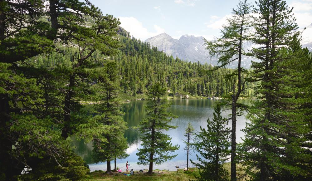 Der Reedsee in Gastein - ein Geheimtipp für Sommerfrische pur in den Bergen