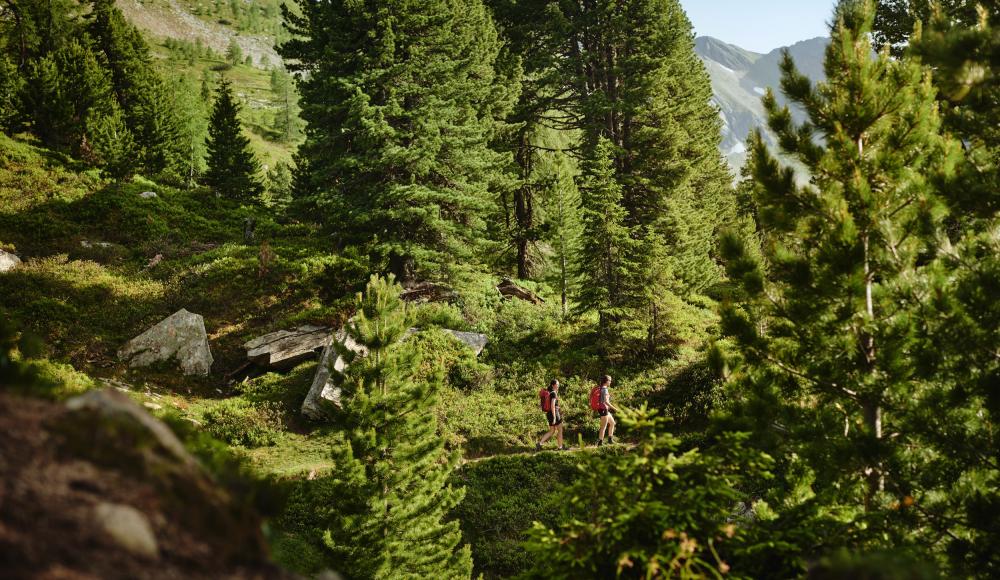 Der Reedsee in Gastein - ein Geheimtipp für Sommerfrische pur in den Bergen