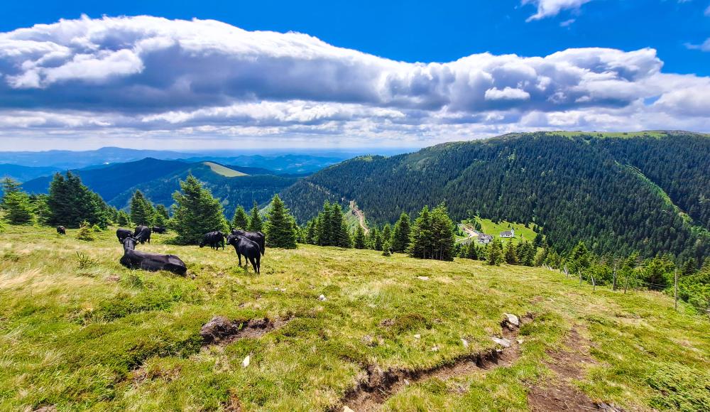 SPORTaktiv Ambassador Verena unterwegs: Bike & Hike-Abenteuer Gleinalm